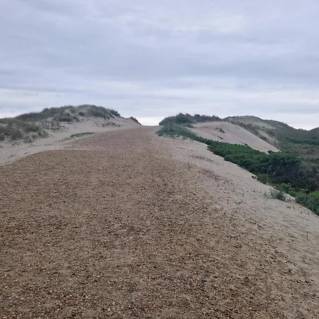 5 Person In * Nørre Nebel