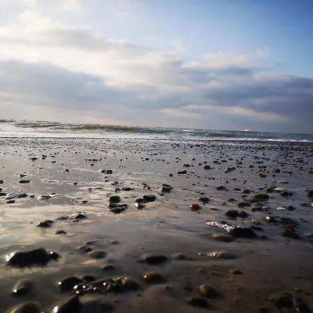 Tatil Evi 5 Person In *